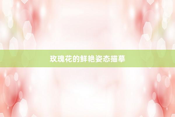 玫瑰花的鲜艳姿态描摹